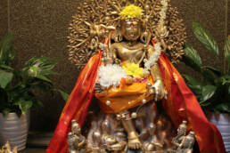 Dhakshinamoorthy | Shree Ghanapathy Temple