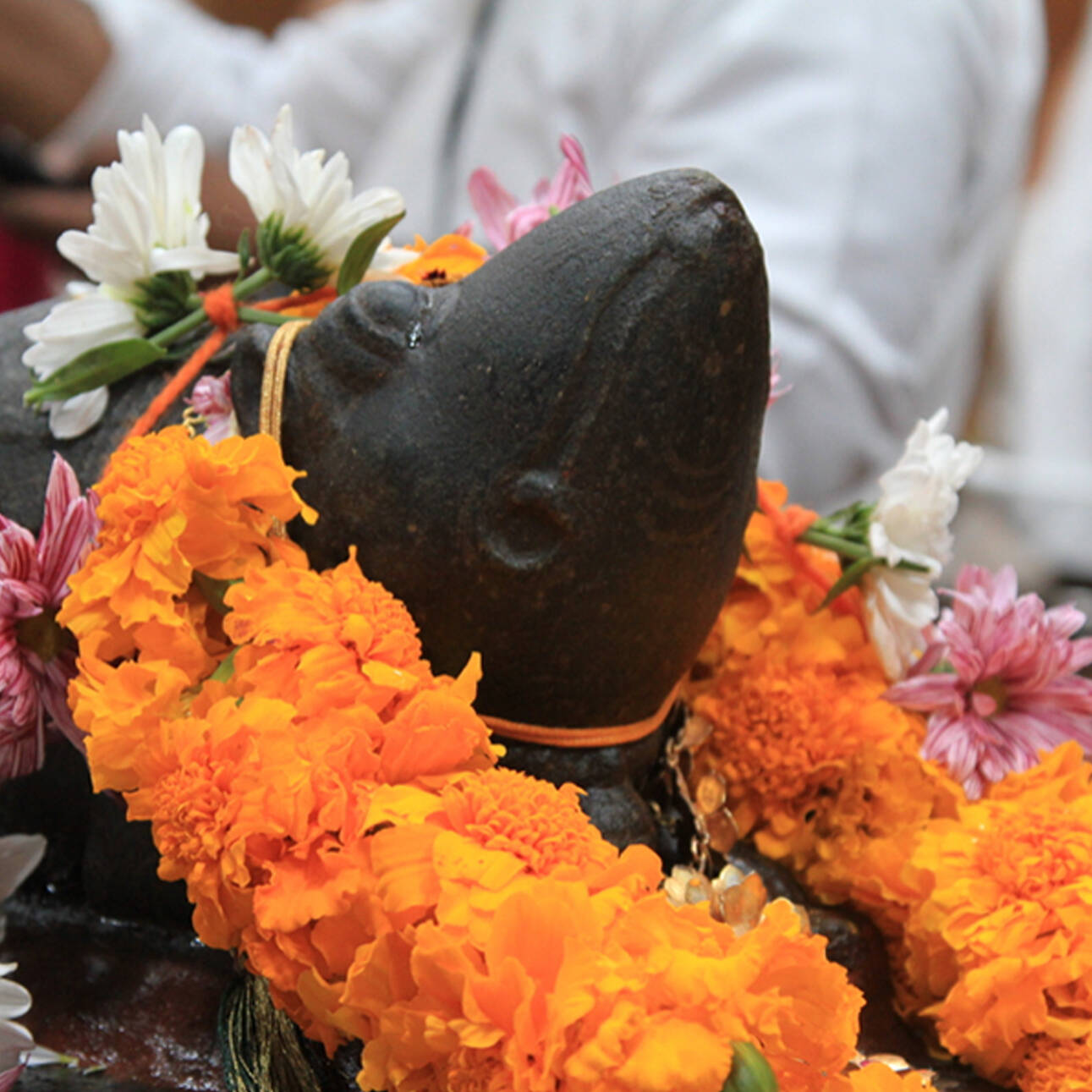 Mooshikham | Shree Ghanapathy Temple
